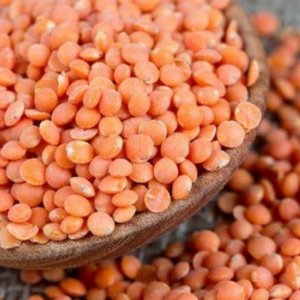 ১০ হাজার মেট্রিক টন মসুর ডাল কেনার সিদ্ধান্ত