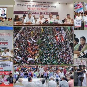 যুগপৎ সঙ্গীদের নির্বাচনি প্রচারণায় সহযোগিতার আশ্বাস বিএনপির