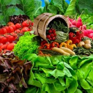 শীতের যত শাক: কোন পাতায় কী উপকার