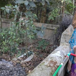 শরীয়তপুরে বীর মুক্তিযোদ্ধার কবরে অগ্নিসংযোগ শরীয়তপুরে বীর মুক্তিযোদ্ধার কবরে অগ্নিসংযোগ