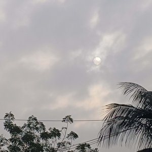 দিনাজপুরে চার দিন পর দেখা মিলল সূর্যের