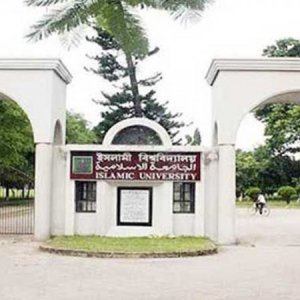 ইসলামী বিশ্ববিদ্যালয়ে চাকরি