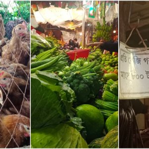 মাছ ও সবজি স্থিতিশীল, বেড়েছে সব ধরনের মাংস-ডিমের দাম