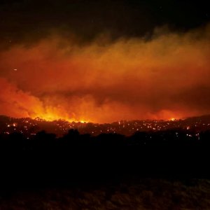 অস্ট্রেলিয়ার দাবানলে মানুষের দেহাবশেষ উদ্ধার