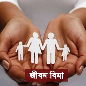 দেদার লুটপাট করেছেন বিমা কোম্পানির মালিকরা