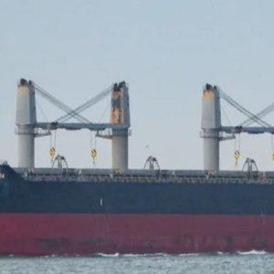 যুক্তরাষ্ট্র থেকে এলো ৫৭ হাজার টন গম