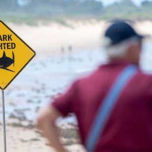 হাঙরের আতঙ্কে অস্ট্রেলিয়ার সৈকত বন্ধ ঘোষণা