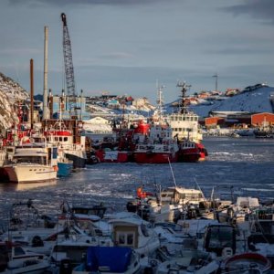 গ্রিনল্যান্ডে কাজ করছেন বাংলাদেশিরা, নতুন সম্ভাবনা