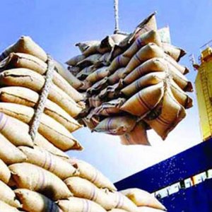 রেকর্ড ফলন ও মজুত সত্ত্বেও খাদ্য আমদানির সিদ্ধান্ত কেন? 