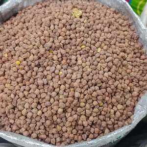 রমজান ও নির্বাচনের আগে উত্তপ্ত বাজার, চাল-ডাল-তেলের দাম চড়া 