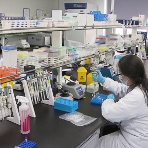 জিনোম বিশ্লেষণে বিশ্বের প্রথম ফাউন্ডেশন মডেল চালু