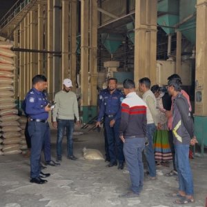 রাইস মিলের নৈশপ্রহরীকে বেঁধে ৬৩৩ বস্তা চাল লুটের অভিযোগ