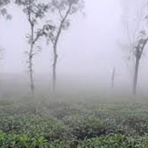 আজ দেশের সর্বনিম্ন তাপমাত্রা শ্রীমঙ্গলে আজ দেশের সর্বনিম্ন তাপমাত্রা শ্রীমঙ্গলে