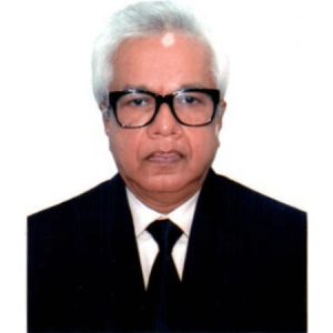 ‘জনমনে বহুদিনের রাষ্ট্র মেরামতের আকাঙ্ক্ষার পরিণতিই হলো জুলাই বিপ্লব’