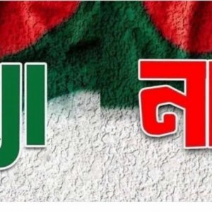 গণভোটে ‘হ্যাঁ’ জিতলে কী হবে, ‘না’ জিতলে কী হবে?