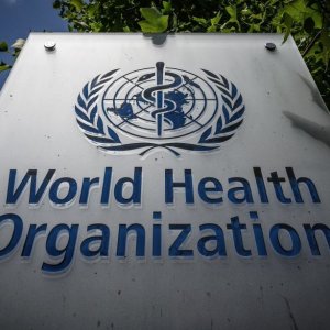 নিপাহ ভাইরাসে বাংলাদেশে একজনের মৃত্যুর তথ্য জানালো ডব্লিউএইচও