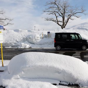 জাপানের নির্বাচনে ভূমিধস জয়ের পথে তাকাইচি