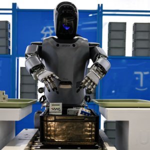 চীনে ঝড় তুলেছে ওপেন এআই মডেল, আমেরিকাকে টপকানো সম্ভব?