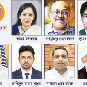 কী করবেন বিএনপির জিতে আসা বিদ্রোহীরা