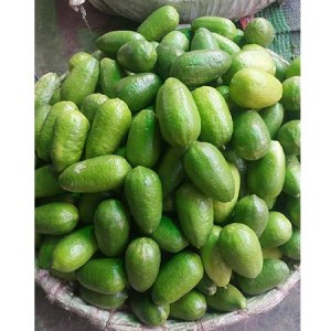 রোজা ও অনাবৃষ্টির অজুহাতে লেবুর দামে মাথায় হাত