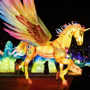 চীনের বসন্ত উৎসব ঘিরে অর্থনীতিতে নতুন গতি