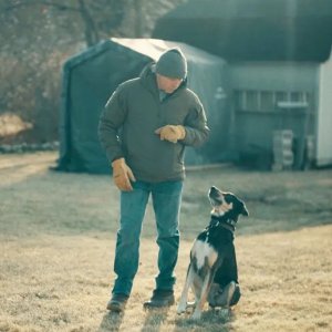 ডার্ক ওয়েবের ছবি থেকে ছয় বছরের নির্যাতনের রহস্য উন্মোচন