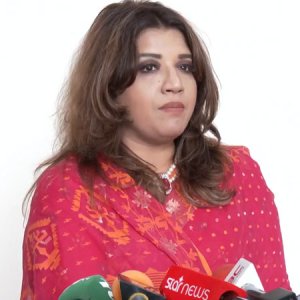 ভিসা সমস্যার সমাধানে কাজ হচ্ছে: পররাষ্ট্র প্রতিমন্ত্রী