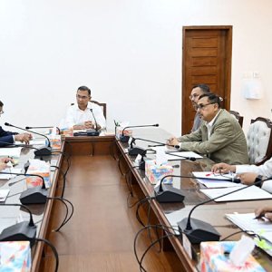 সারা দেশে বৃক্ষরোপণ কর্মসূচি জোরদারের নির্দেশ প্রধানমন্ত্রীর