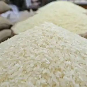 বেসরকারি পর্যায়ে চাল আমদানির মেয়াদ এক মাস বাড়লো
