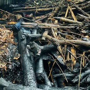 ঢাবিতে ছাত্রলীগ অভিযোগে মারধর, ছাত্রশক্তির সেই নেতার গ্রামের বাড়িতে আগুন