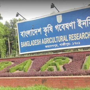 বাংলাদেশ কৃষি গবেষণা ইনস্টিটিউটে চাকরি, বড় নিয়োগ বিজ্ঞপ্তি প্রকাশ
