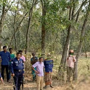 1c087435c3588ac811bb302f517828af-69b91bf5c7e9e.jpg?jadewits_media_id=1015665