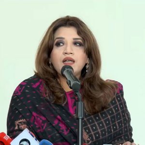 জ্বালানি সহযোগিতায় ভারত থেকে ‘গ্রিন সিগন্যাল’ পাওয়ার কথা জানালেন পররাষ্ট্র প্রতিমন্ত্রী