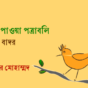 সাগরে পাওয়া পত্রাবলি।। লিয়ানা বাদর