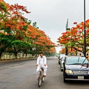 জ্বালানি সংকটের দিনে সাইকেল: কমাবে খরচ, বাড়াবে আয়ু