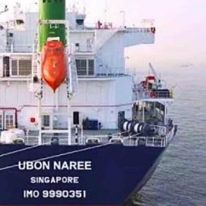 যুক্তরাষ্ট্র থেকে চট্টগ্রাম বন্দরে পৌঁছেছে গমবাহী জাহাজ