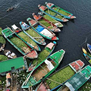 তরমুজের মৌসুমি ব্যস্ততা