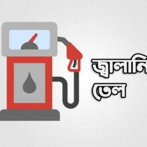 জ্বালানি আমদানিতে বাড়ছে বাণিজ্য ঘাটতি, সমাধান সৌরবিদ্যুৎ: গবেষণা