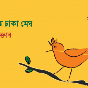 আলোয় ঢাকা মেঘ