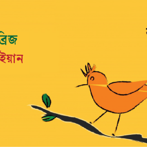 ব্রিজ, ব্রিজ