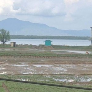 সীমান্তে স্থলমাইন বিস্ফোরণে রোহিঙ্গা যুবক গুরুতর আহত