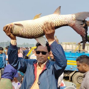 মেলা নয় যেন পারিবারিক মিলনমেলা