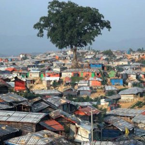 টেকনাফে তিন রোহিঙ্গা যুবককে অপহরণ