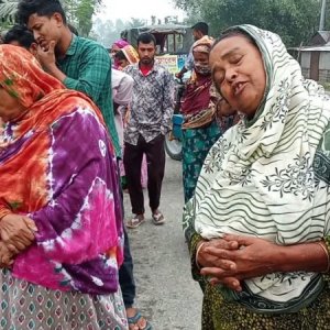 নীলফামারীতে ট্রাকের ধাক্কায় প্রাণ গেলো দুই ভাইয়ের