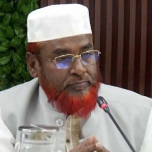 ‘বিএনপির মনে ফাঁকি ছিল, তাই গণভোট আগে করতে দেয়নি’