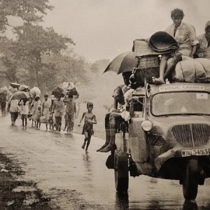 1e3b181b3768a17745a0dc0a786e7d1a-69ed94448c66f.jpg?jadewits_media_id=1020947