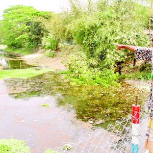 জিয়ার দেখানো পথেই হাঁটছেন তারেক রহমান