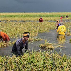 ‘কী করবে হাওরের কৃষকরা, কান্না শোনার কেউ নেই’