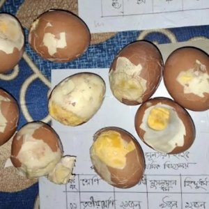 স্কুল ফিডিংয়ে শিক্ষার্থীদের পচা ডিম সরবরাহের অভিযোগ