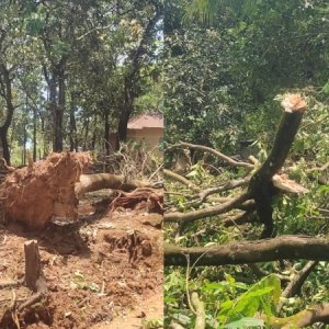 বৈশাখী ঝড়ে লন্ডভন্ড গাজীপুরের তিন গ্রাম, গোটা এলাকা বিদ্যুৎহীন